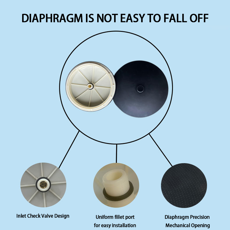 Aquaponic Plants You Need to Grow Now