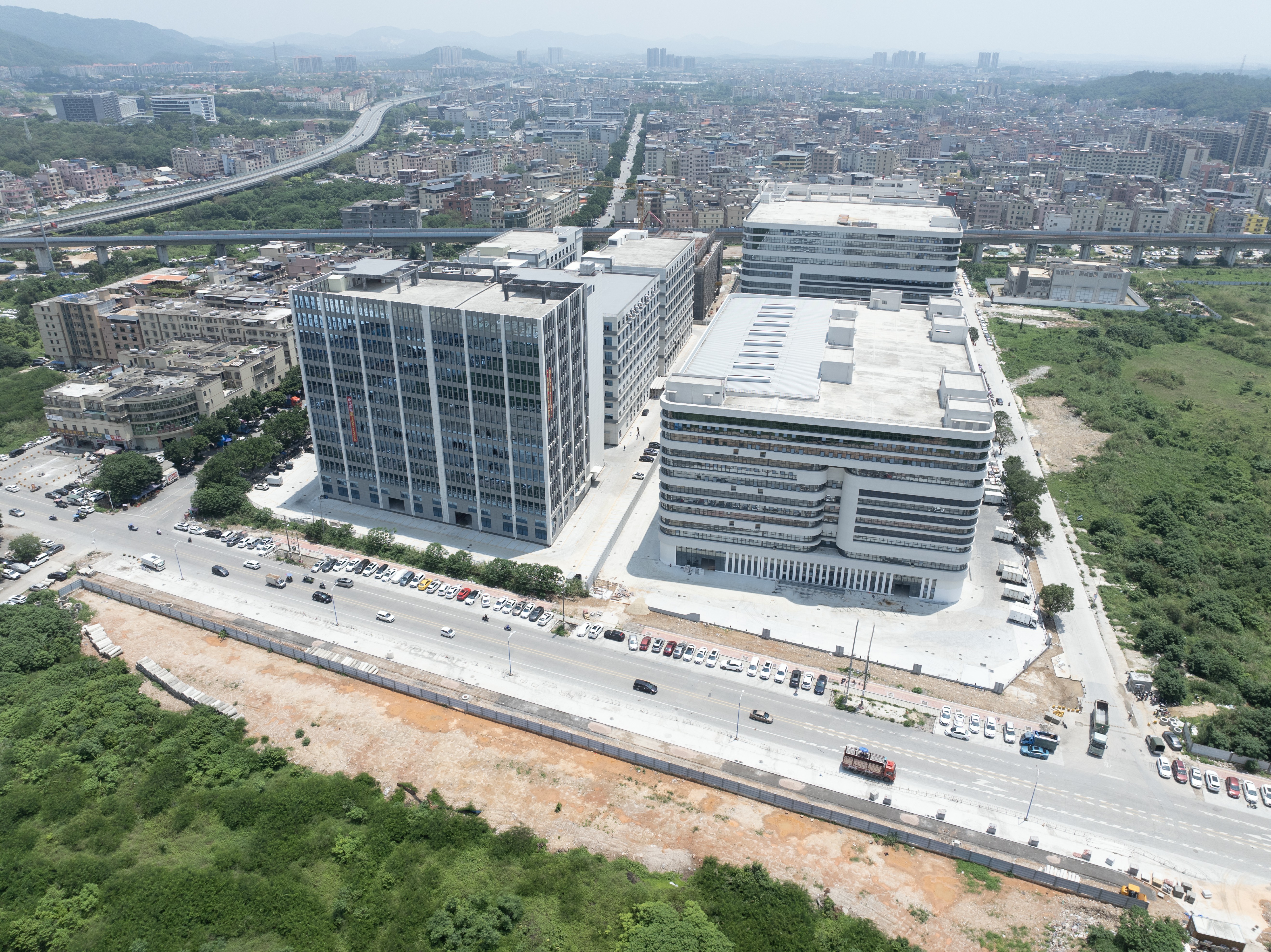 Panorama of the plant