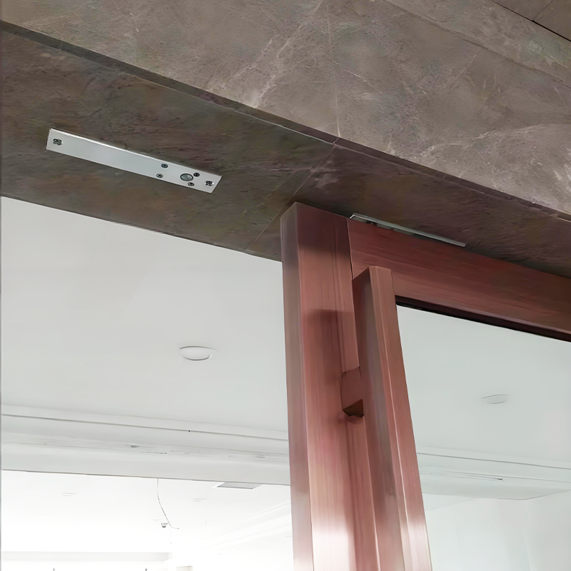 cerradura eléctrica empotrada de perno de 12 V: cerradura eléctrica especial para control de acceso en puertas con marco y puertas de vidrio sin marco