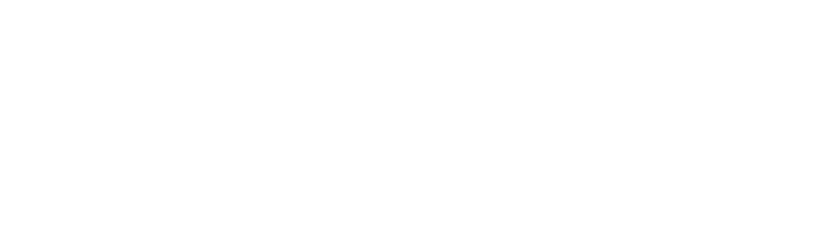 שנצ'ן צ'יאנג טקנולג'י קואו., לטד.