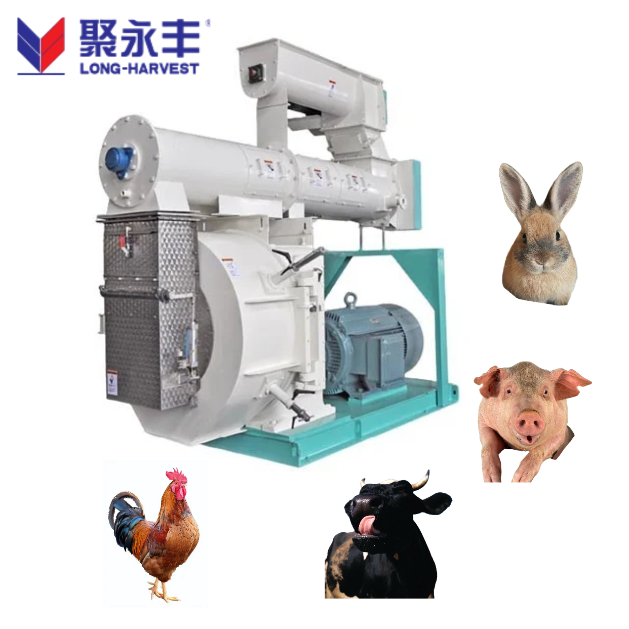 Жогорку сапаттуу пеллет машинасы жумшак тамак өндүрүшүнө кандай артыкчылыктарды беришет?