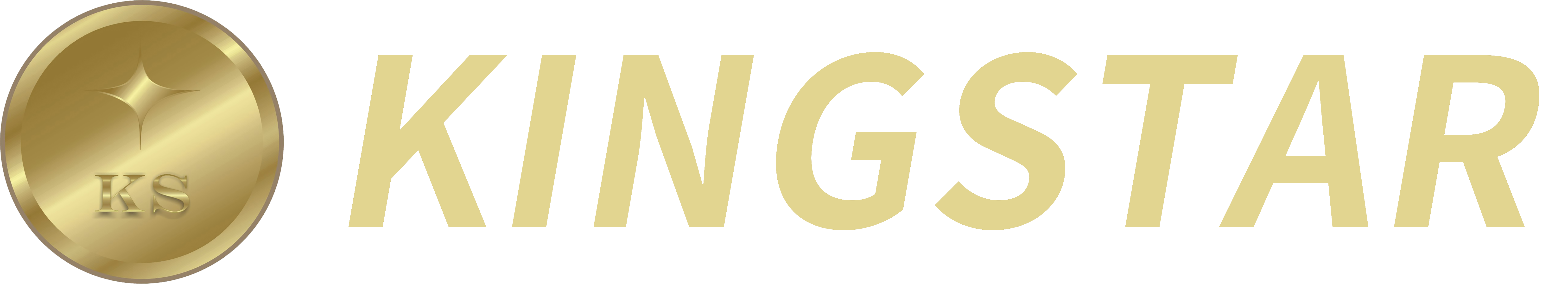 Shenzhen Kingstar Bags And Cases Co., Ltd.