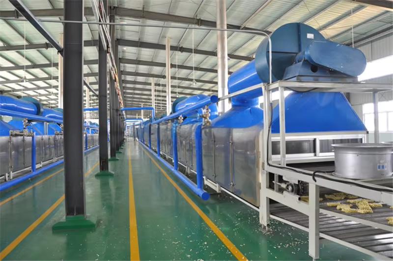 Unleashing the Best Pasta Machines Sale