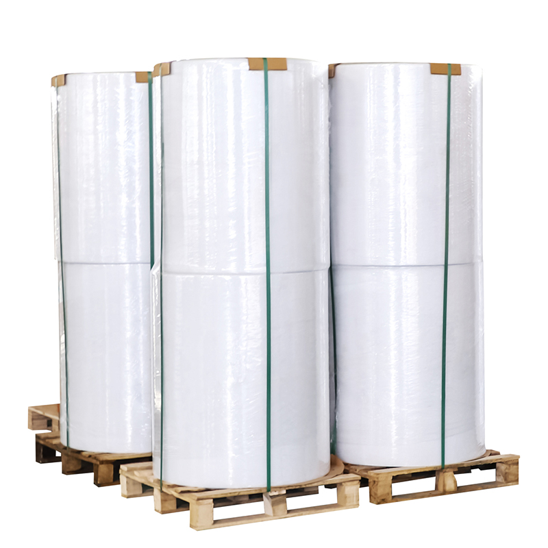 Sempurna untuk Label Penghantaran, Penyekatan Makanan, dan Lain-Lain