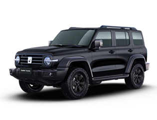 window deflectors-8