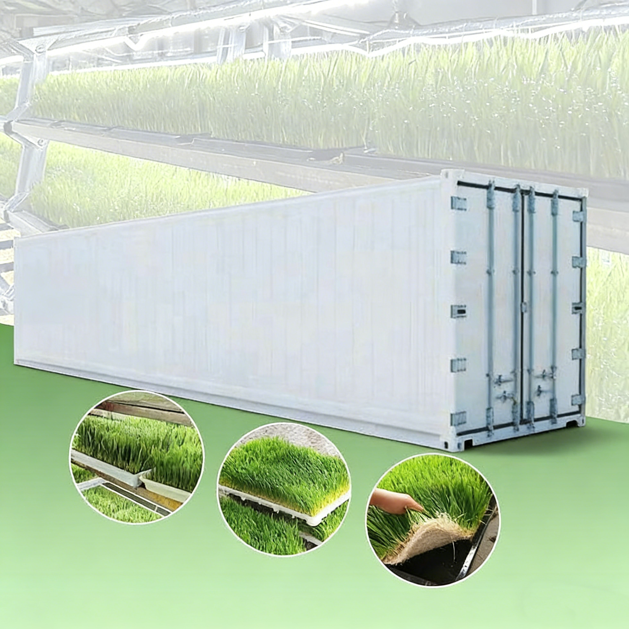 Automatisiertes Indoor-Farming-System, hydroponisches Gersten-Gras-Futtermittel-Anbausystem in Container-Farm