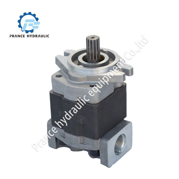 Надворешен зупчест пумп SGP