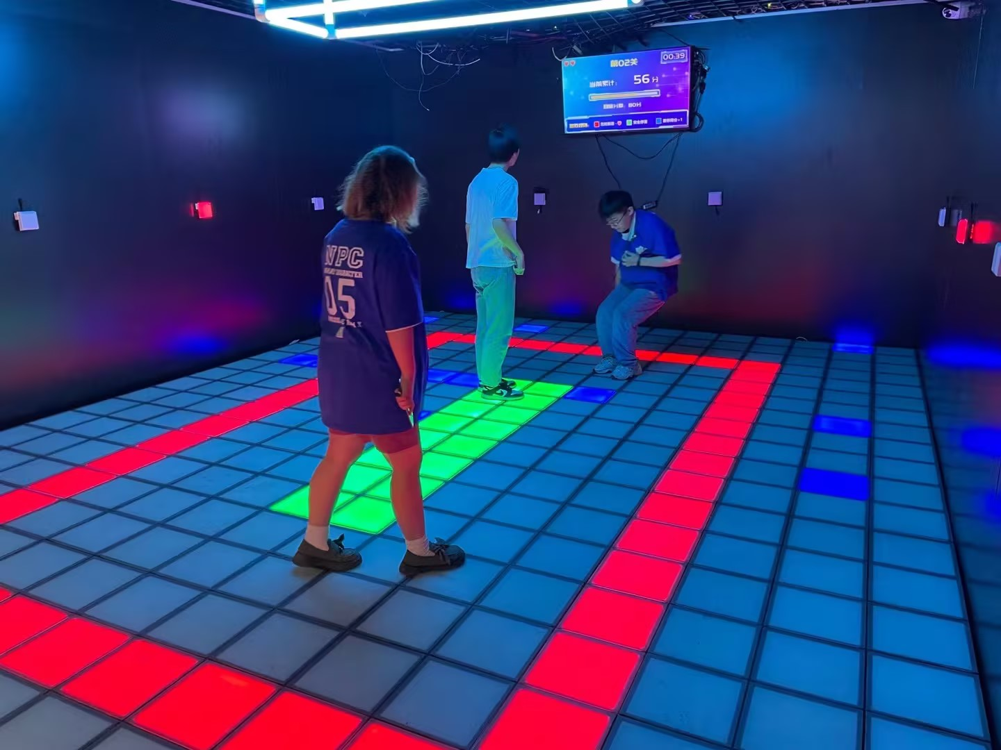 Interactive Projection