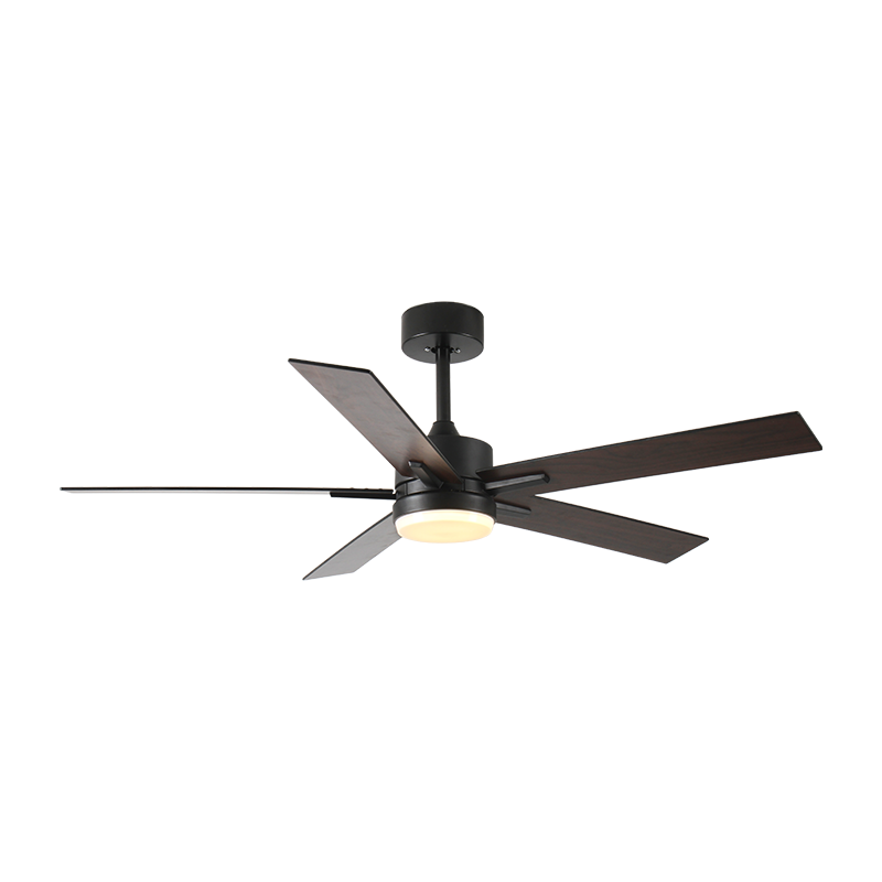 HC627 Modern Designer Decorative Vintage Bedroom Luxury Ceiling Light Remote Control Led Ceiling Fans Chandeliers & Pendant Lights