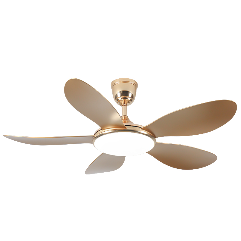 HC678 Hot Sell Ceiling Fan Light Electric 42 Inch 5 Blades Decorative Modern Led Ceiling Fan with Light