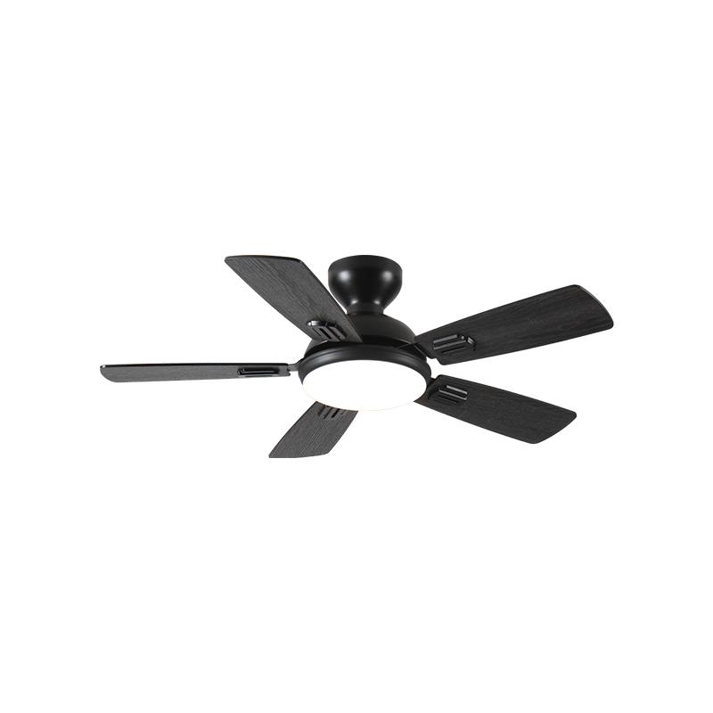 HC639 Low Price Plastic 6 Blades Cooling Ceiling House Light Indoor Ceiling Fan