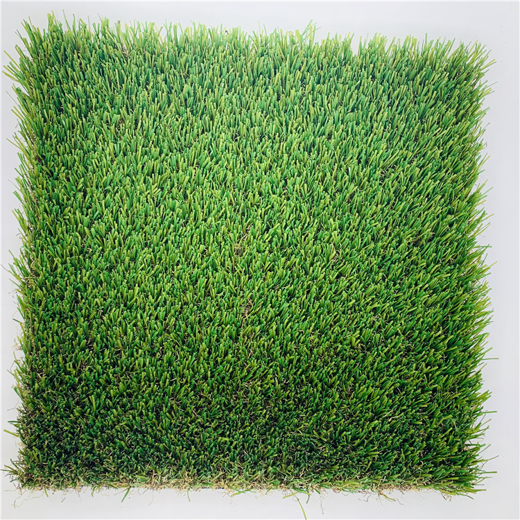 MCG Green Plastic Carpet for Kindergarten School Outdoor Roof Decor Durable Grass Type Plant