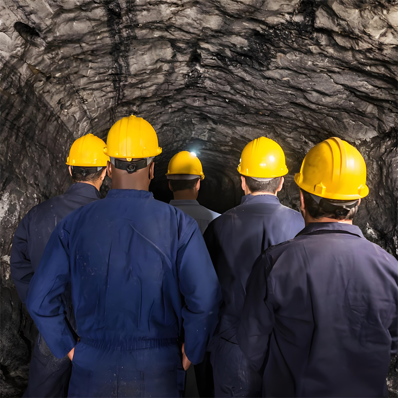 Təbii mövcudluqlara rəftar göstərmək üçün ekolojiyyə dost modal qatı pantolonlar