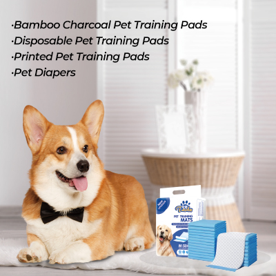 Pet Supplies