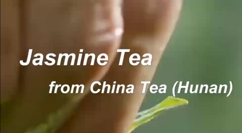 213: The making craft of jasmine tea by China Tea(Hunan)
