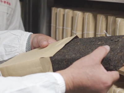 145:Hunan Anhua Dark Tea-Fu Tea Brick(II)