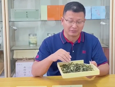 130: Fujian White Tea  (II)