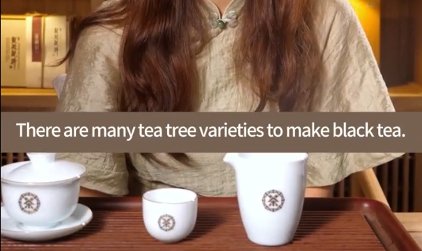 208: Diversity of Congou black tea(II)
