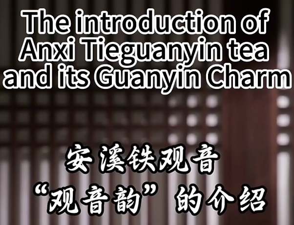 235: The unique Guanyin charm of Anxi Tieguanyin
