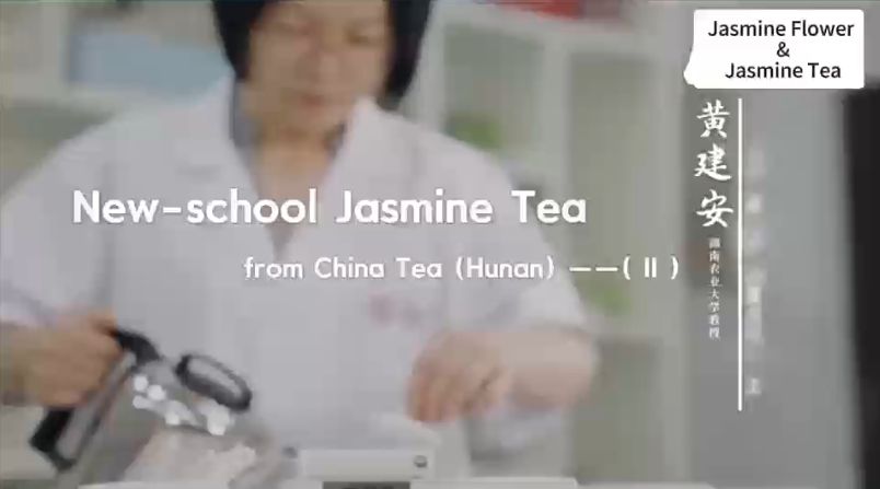211: New school Jasmine tea(II)