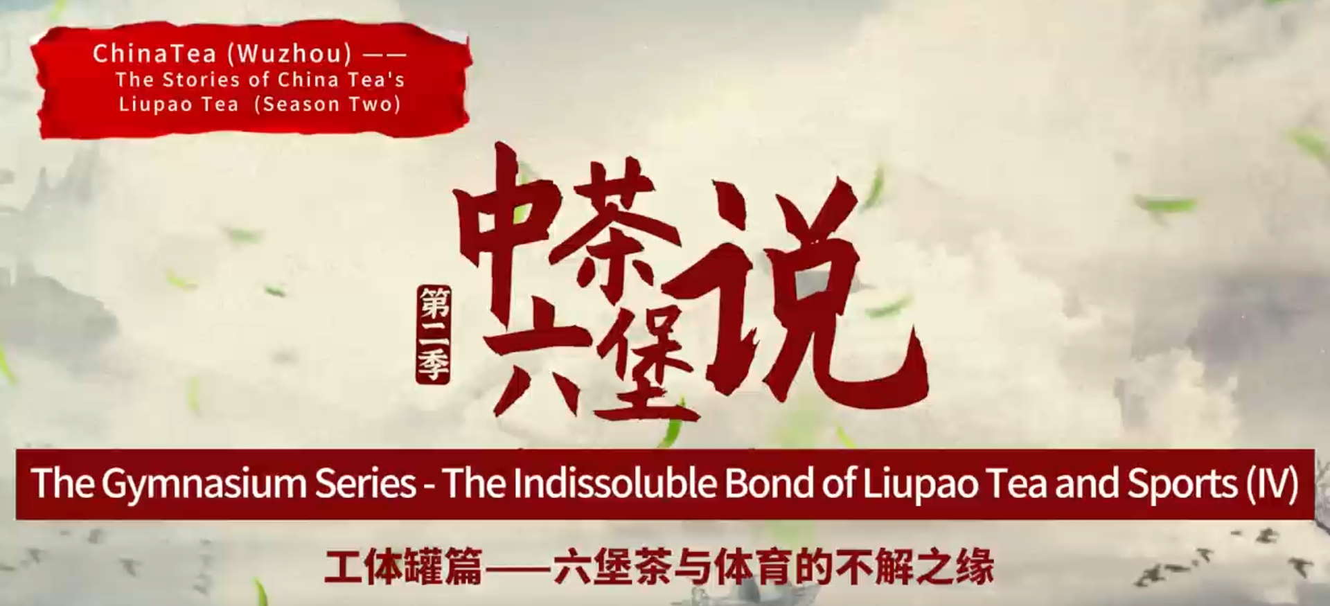 199: Liupao tea‘s stadium package(IV)