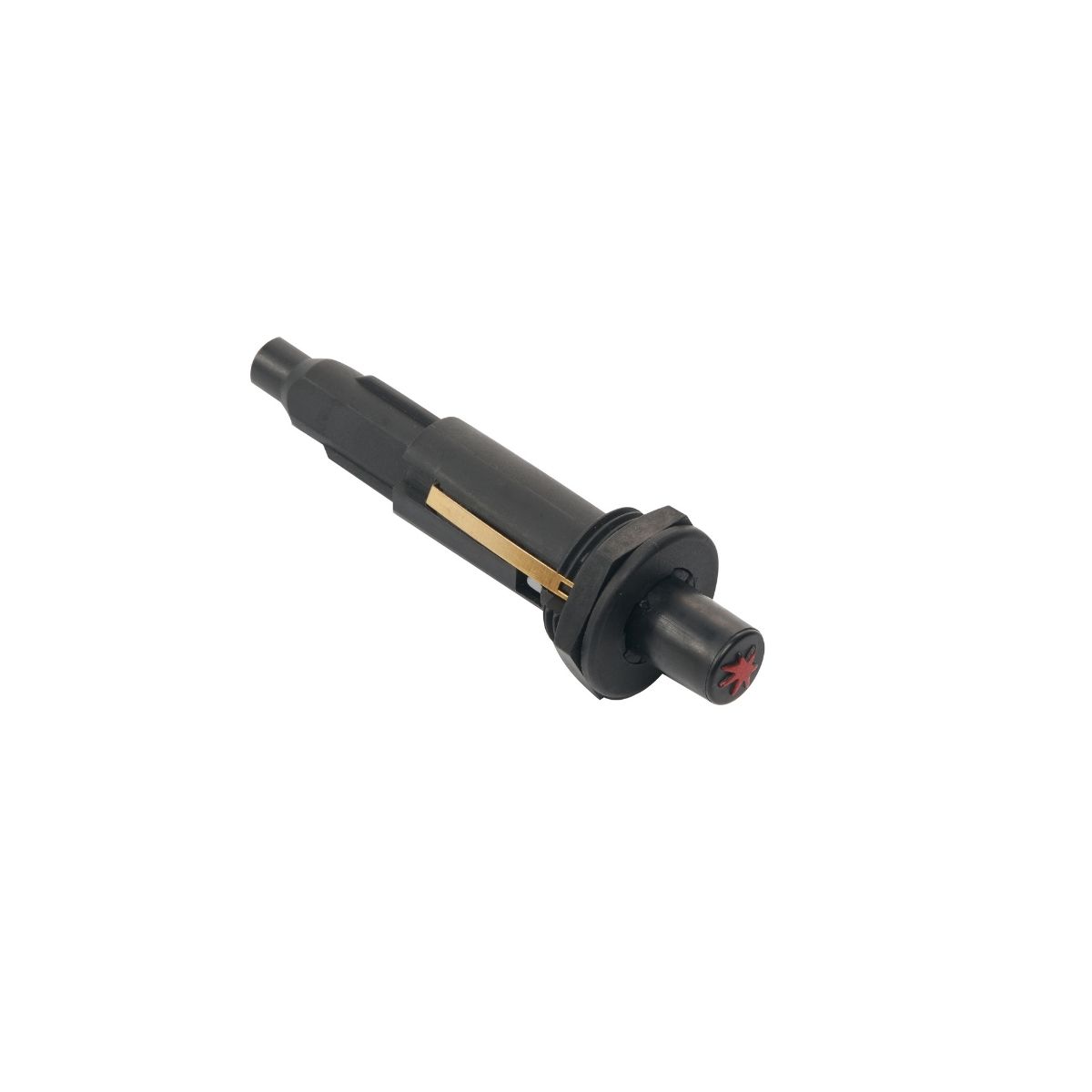 IGNITOR