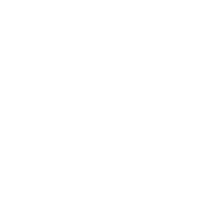 Custom Solutions