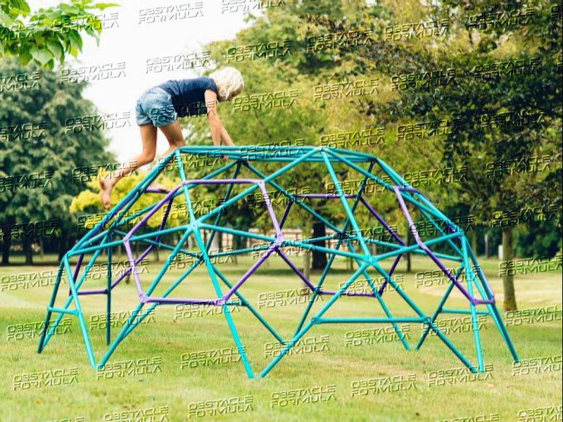 lifetime geometric dome climber-2