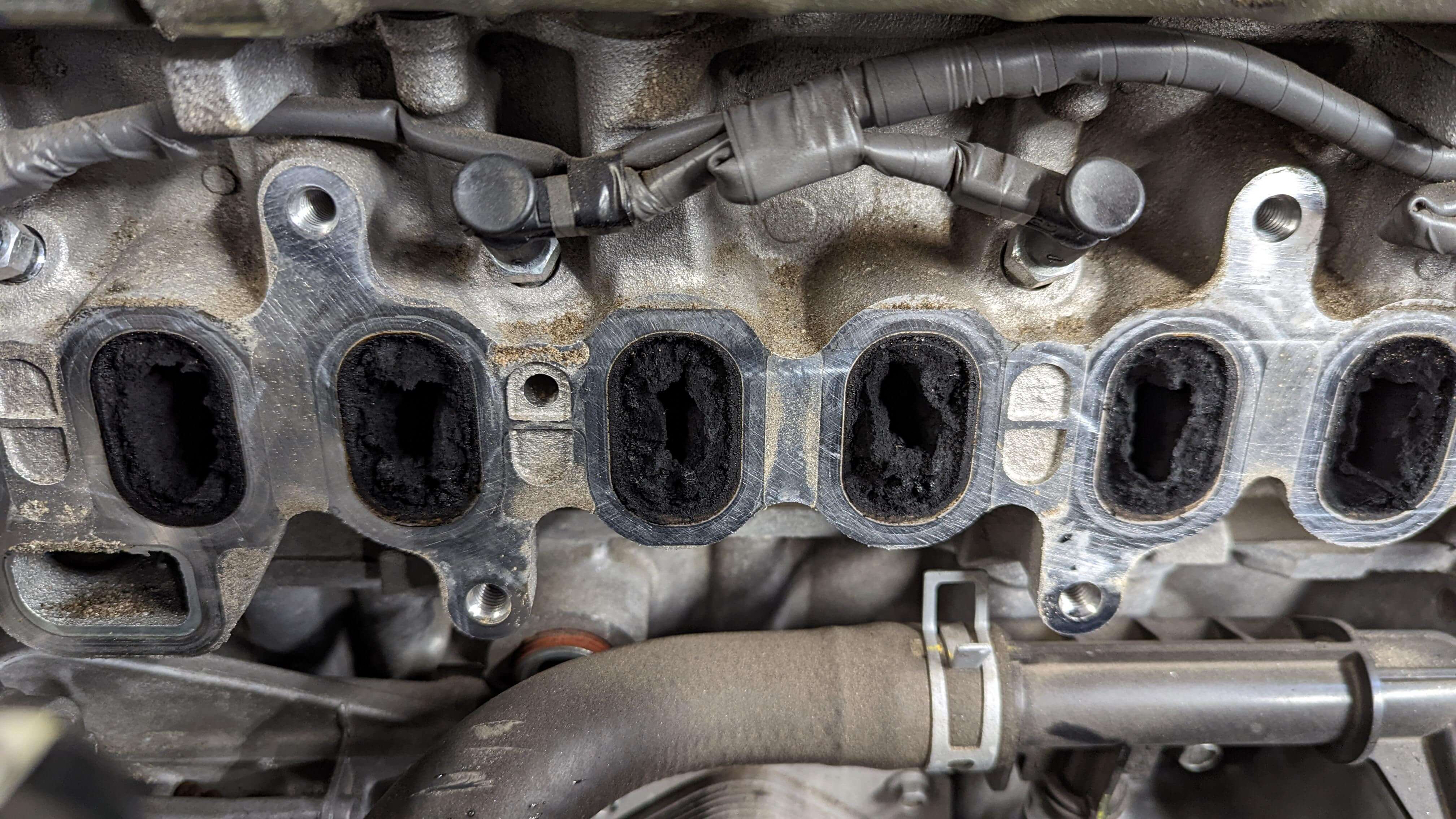 di-carbon-buildup.jpg