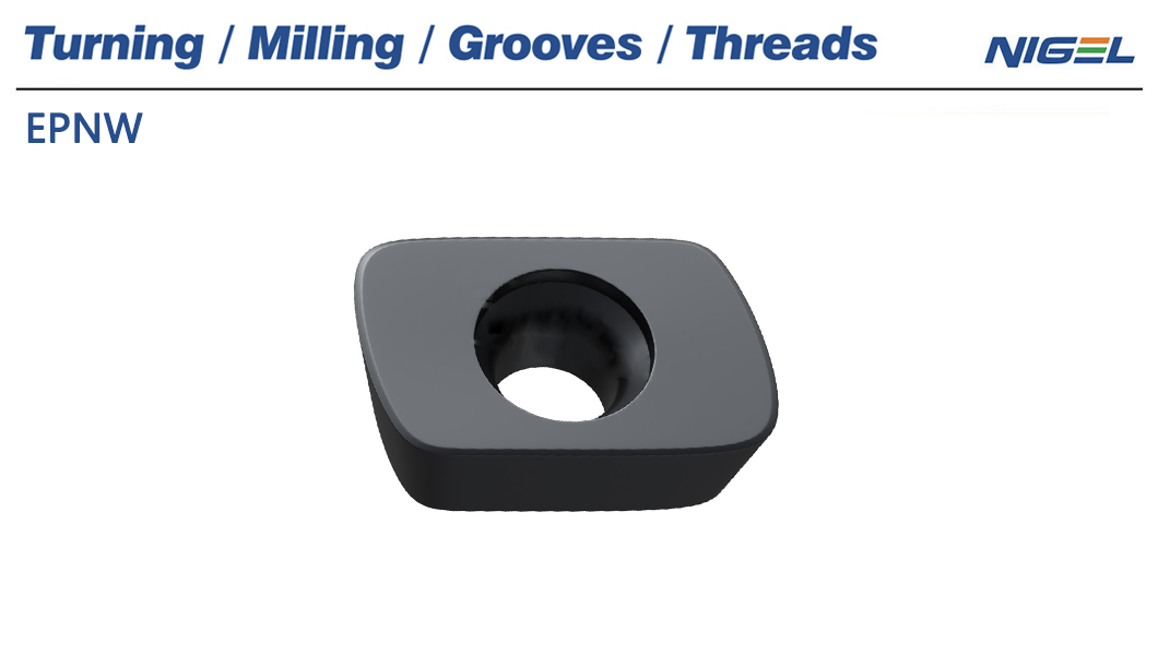 이 전통이 공동체와 정체성을 어떻게 형성하는지.