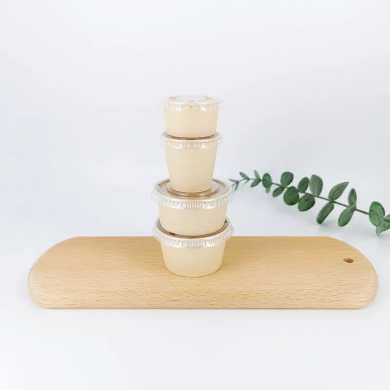 Disposable Paper Cup.webp