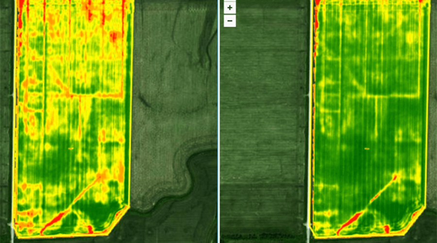 Agricultural Drones for crop monitoring