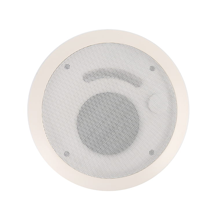 R-X04 Ceiling Speaker