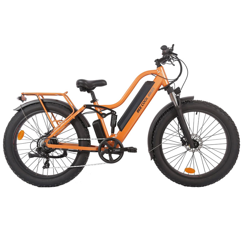 48V 750W Electric Mountain BikeRoad Electric Bicycle Explorer 