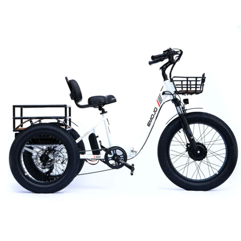 PAND SGS UL2849 Folding Electric Trike 750W 48V 15.6Ah Lithium Battery Cargo Bike 7 Speed 20 inch Fat Tire Adult Tricycle - PANDA