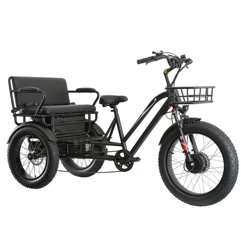 750W 48V 21Ah Rickshaw Passenger Tricycle 3 Wheel Electric Bike P-Trike