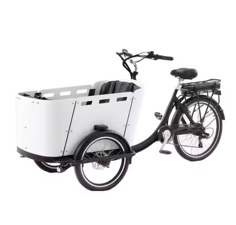 Kid/Cargo Delivery Tricycle With Cannopy ET-010