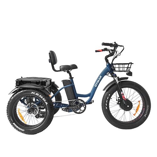 PANDA SGS UL2849 750W 48V Motor 3 Wheel Electric Bike Folding Electric Tricycle for Adults