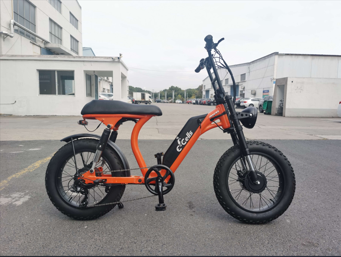 luxury 2 wheel long range 7502 mountain turbo ebike   super r2-1