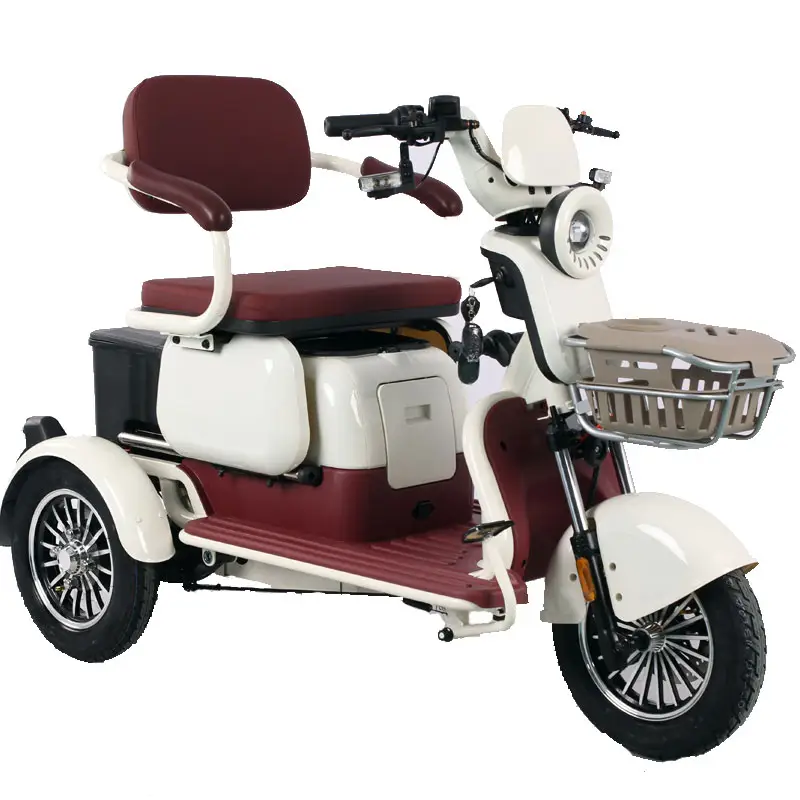 Battery Care Tips for Long-Lasting Electric Tricycle Performance