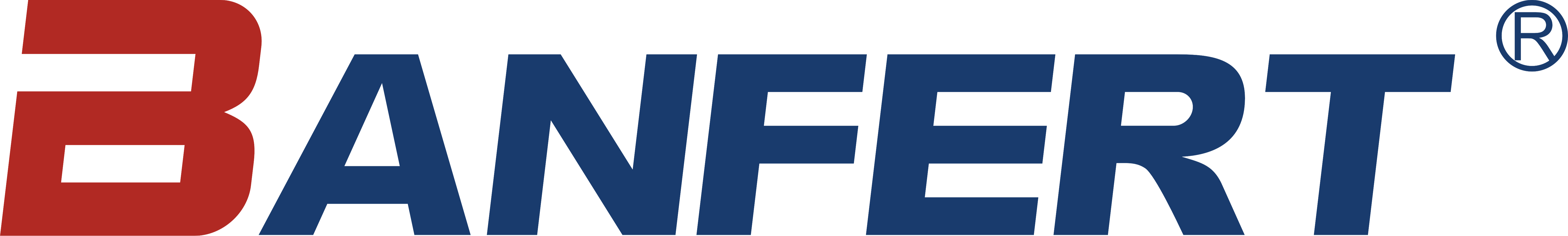 Banfert New Materials Co., Ltd. 